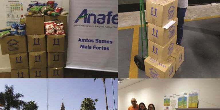 Mosaico ANAFE solidária SP 2 2018