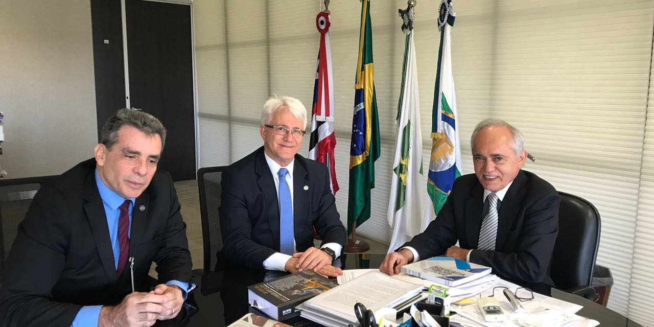 Reunião presidente TCU – ANAFE (2)