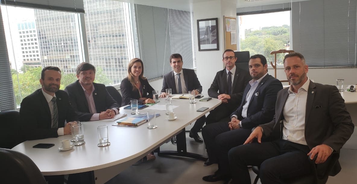 Reunião ANAFE PGF e1549569508486