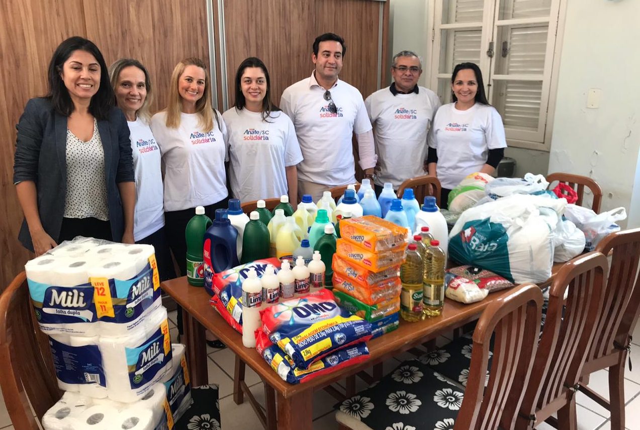 Ação solidária ANAFE SC e1554228850408