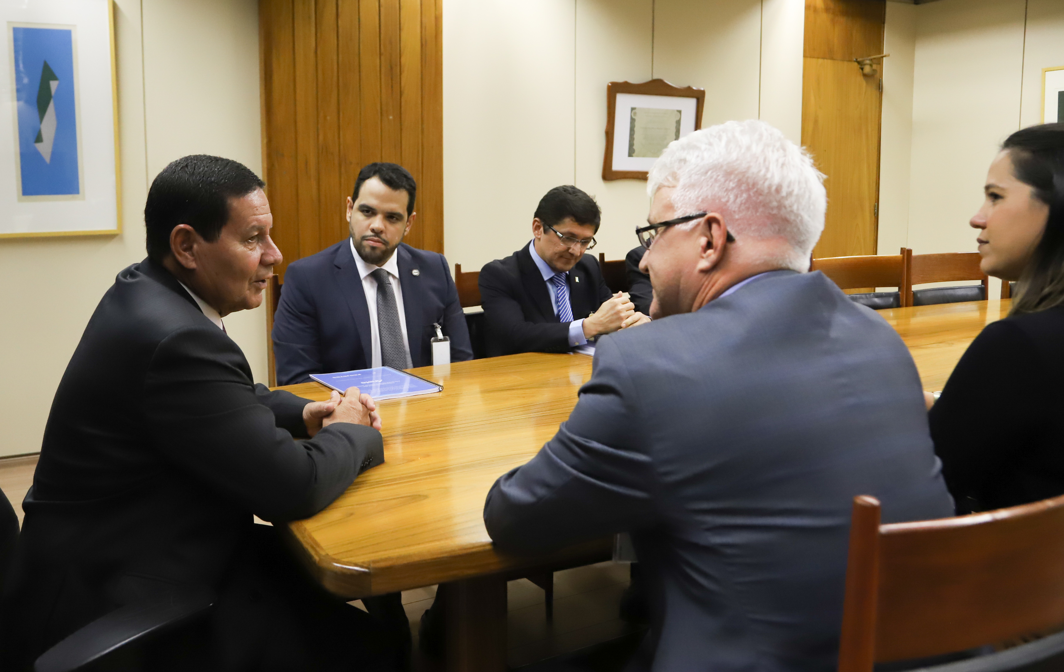Reunião ANAFE Hamilton Mourão 6