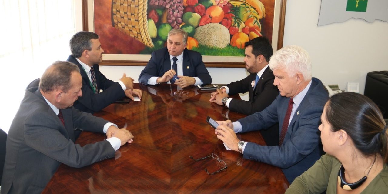 Reunião ANAFE_Izalci ANAFE Izalci