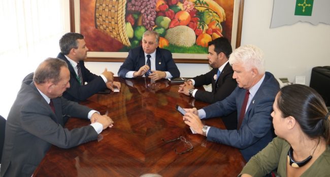 Reunião ANAFE_Izalci ANAFE Izalci