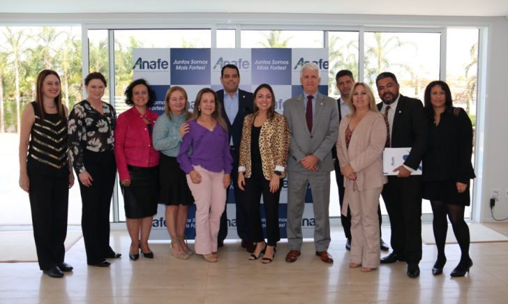 REFORMA DA PREVIDÊNCIA: Membros da ANAFE dão continuidade à atuação por alterações na PEC 6/2019