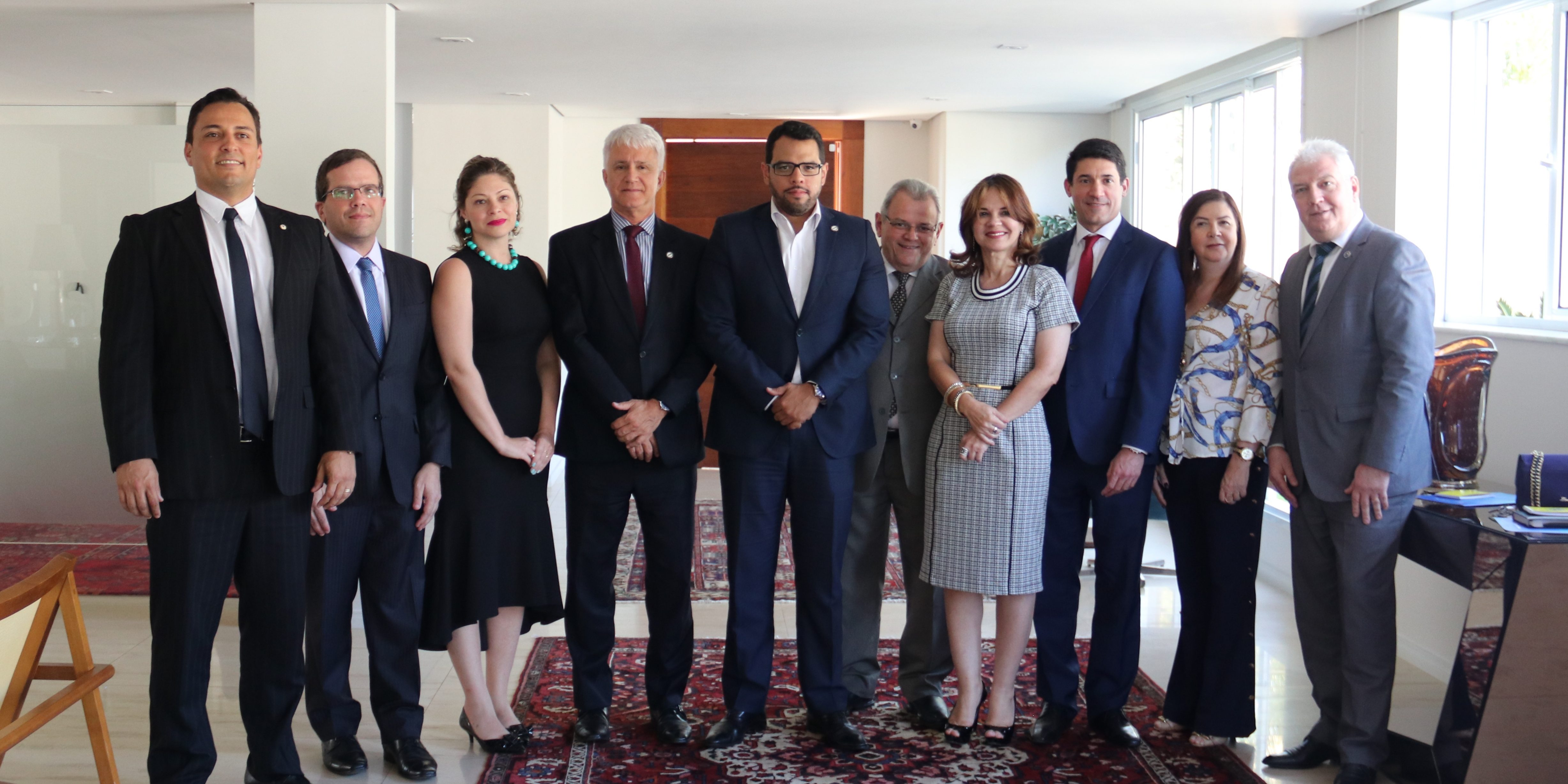 Reunião Movimento Nacional da Advocacia Pública – ANAFE (19) – Copia