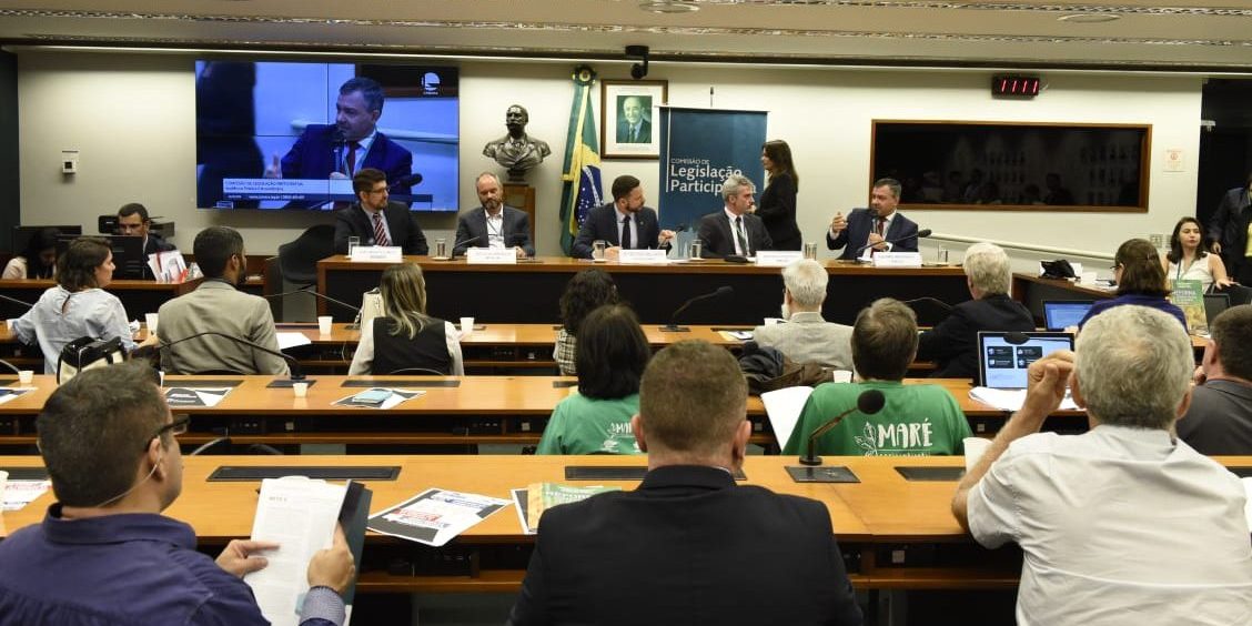 Audiência Pública reforma administrativa – ANAFE (21)