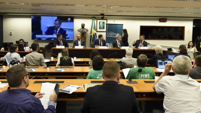 Audiência Pública reforma administrativa – ANAFE (21)