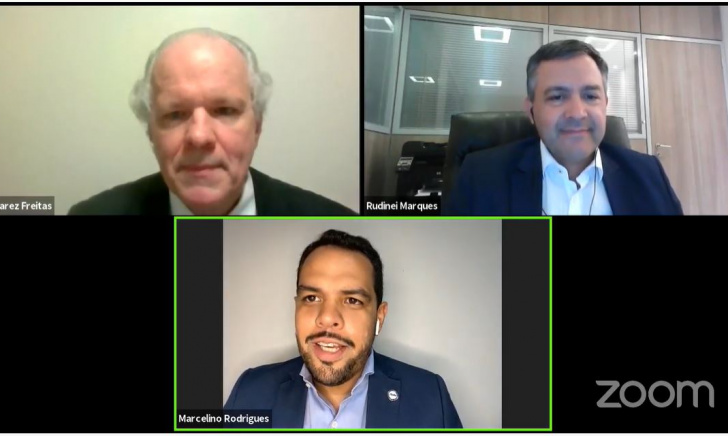 CONEXÃO ANAFE: Live desta semana abordou os impactos da Reforma Administrativa para o serviço público