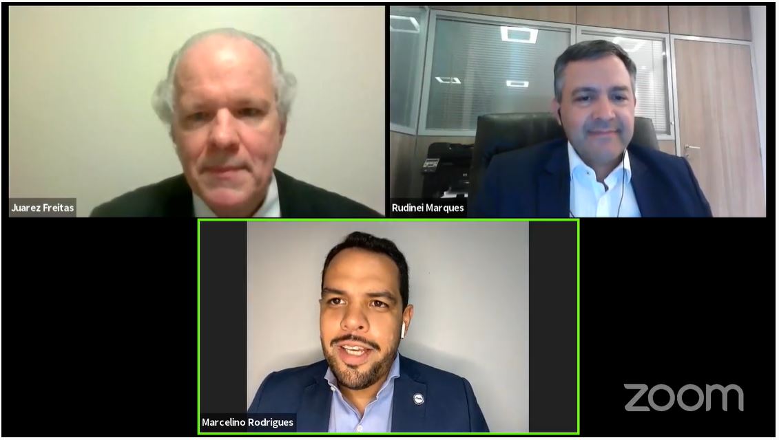 CONEXÃO ANAFE: Live desta semana abordou os impactos da Reforma Administrativa para o serviço público