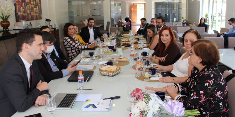 Reunião ANAFE SAÚDE (13)