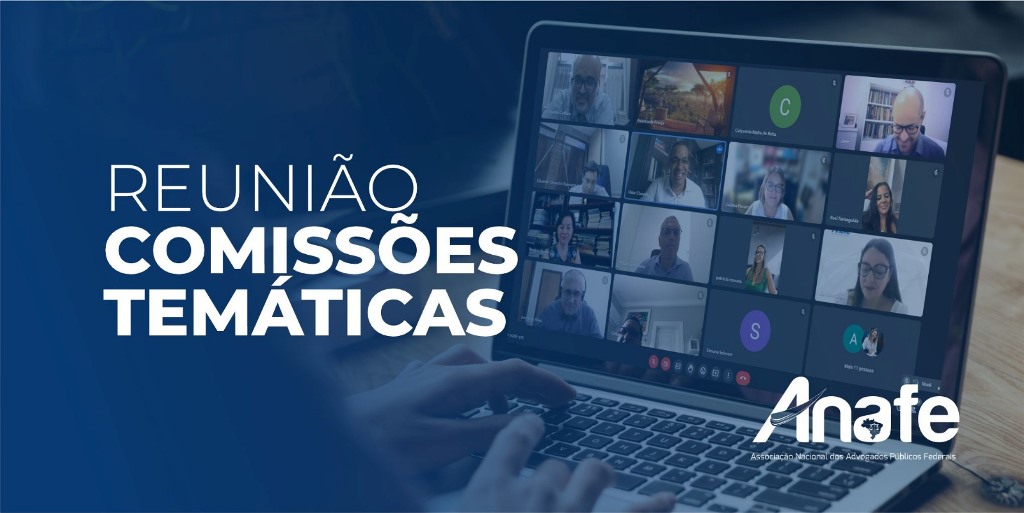 Reunião Comissões Temáticas – ANAFE (2) Comissões Temáticas