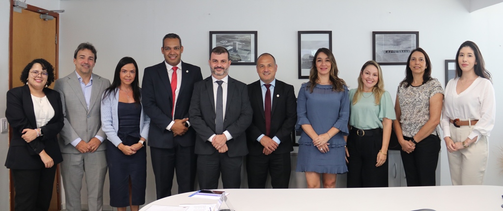 Reunião PGF ANAFE