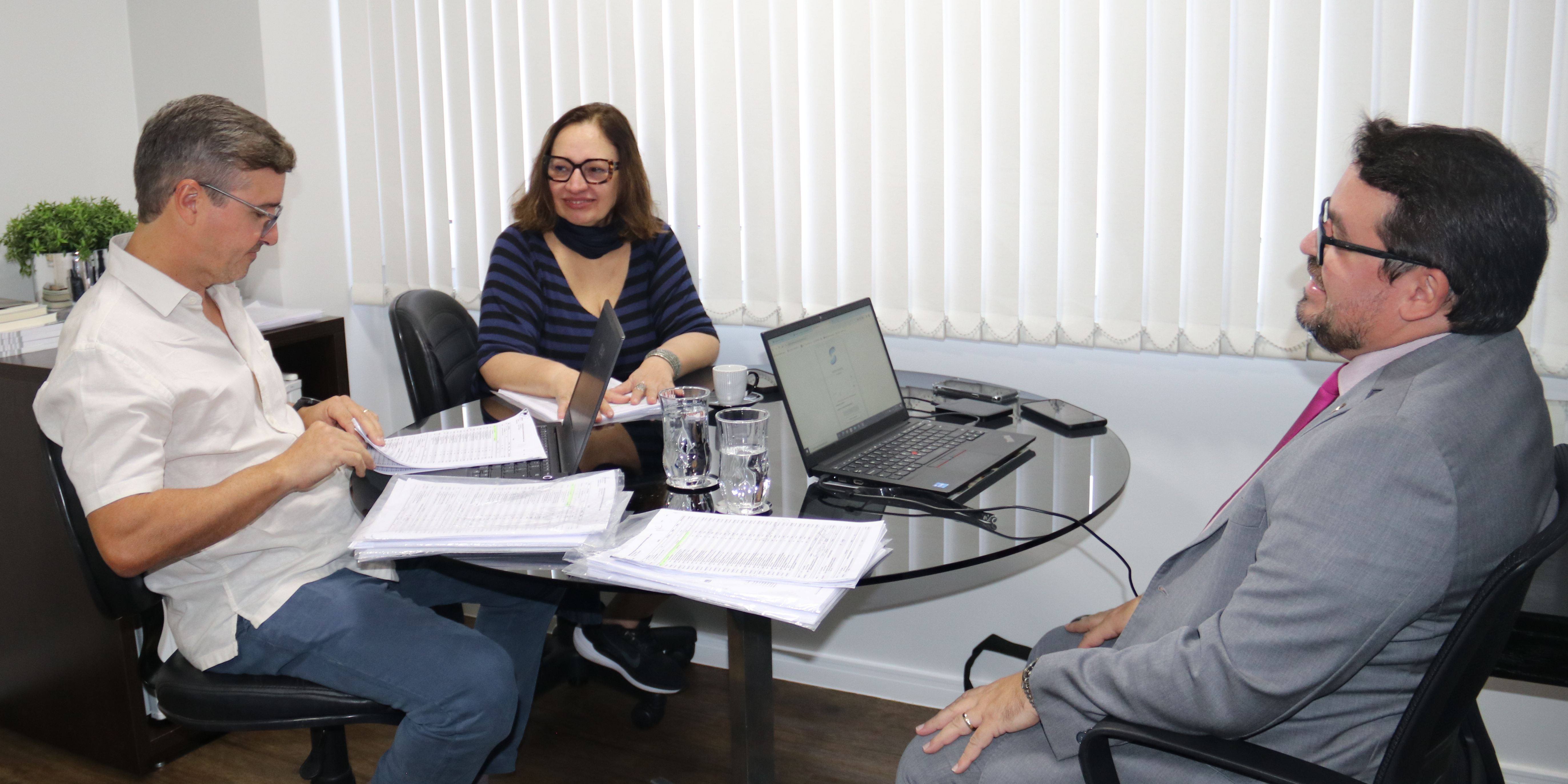 Reunião Conselho Fiscal da ANAFE (7)