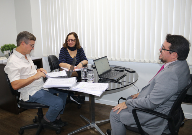 Reunião Conselho Fiscal da ANAFE (7)