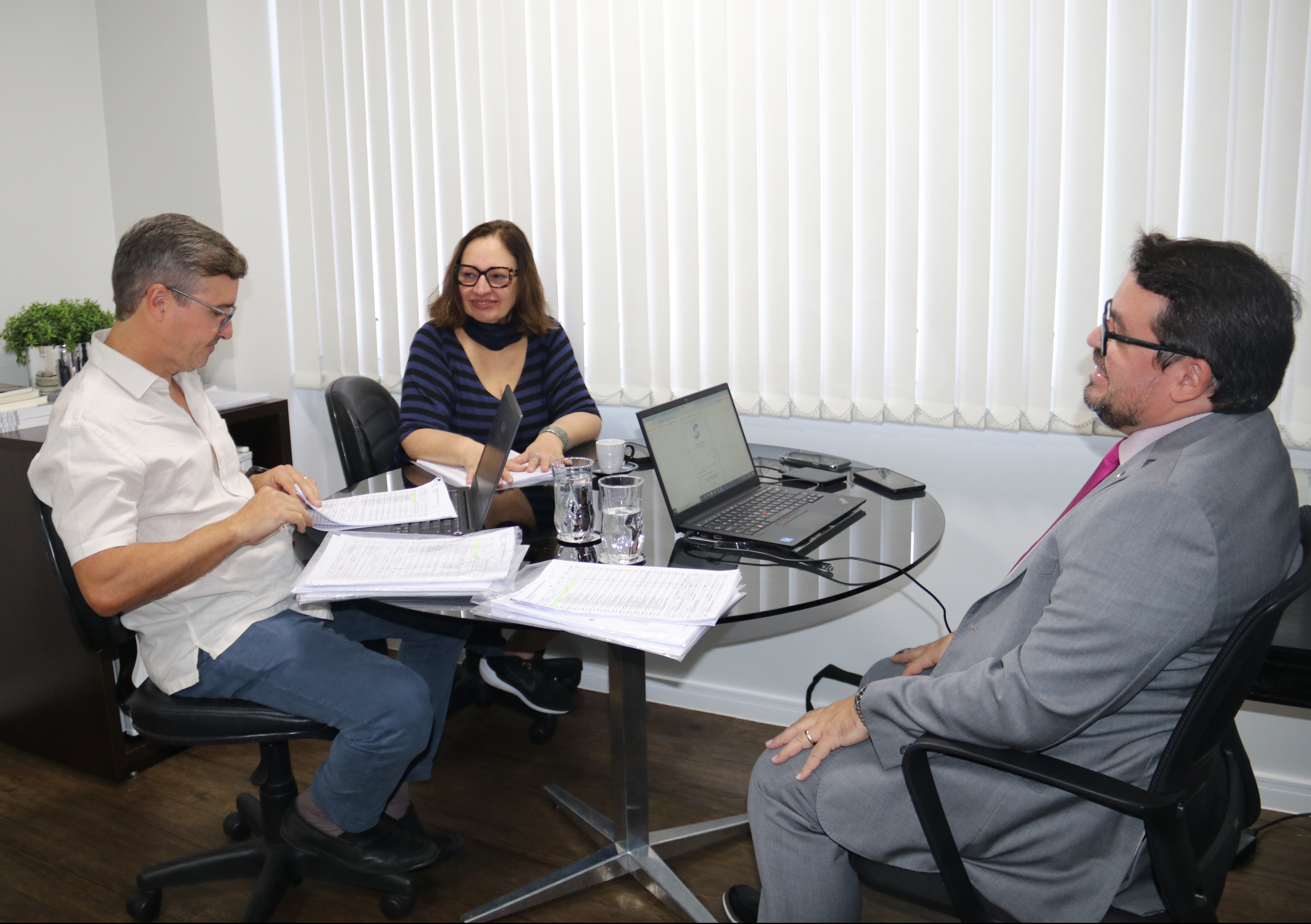 Reunião Conselho Fiscal da ANAFE 7 e1707161713586