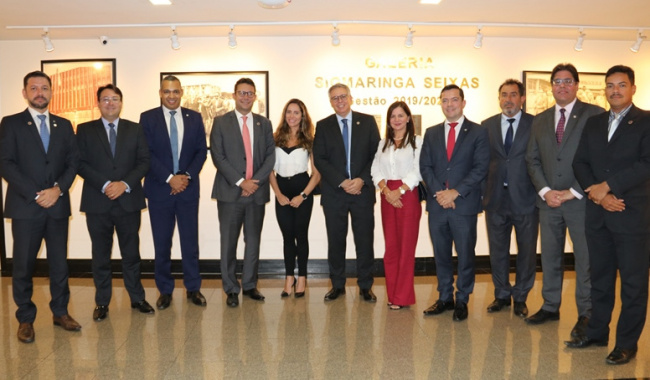 Reunião CCHA – OABDF (5)