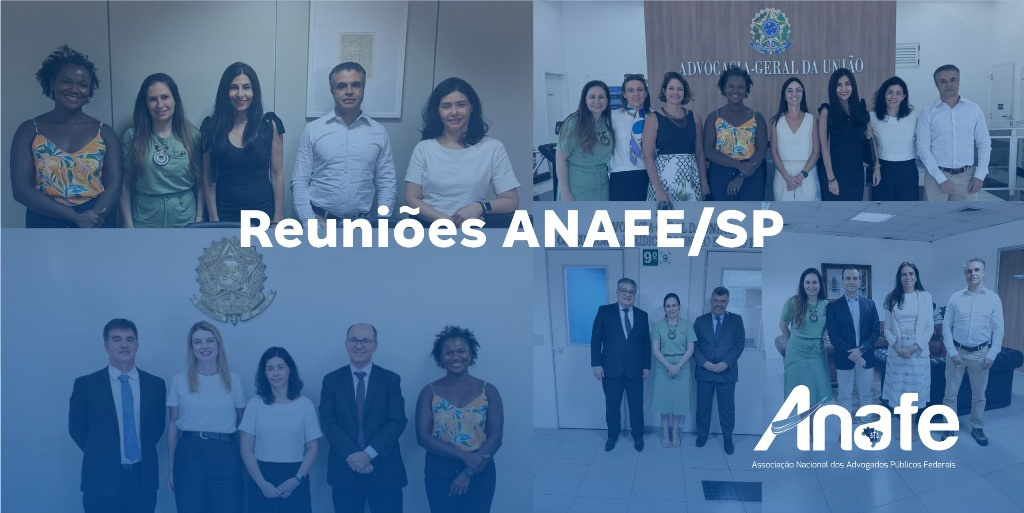 Reuniões ANAFE SP 1024x513