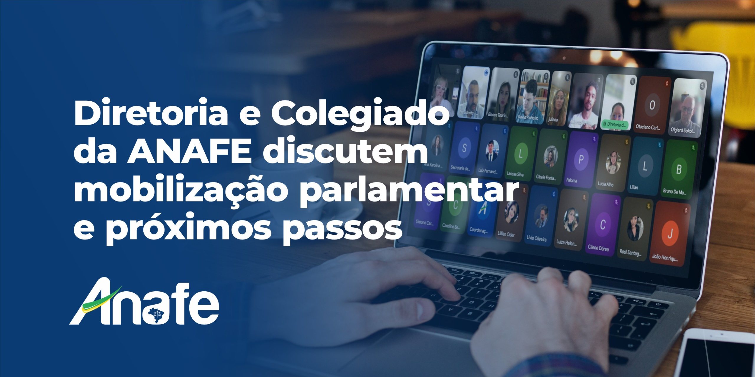 Diretoria e colegiado da ANAFE
