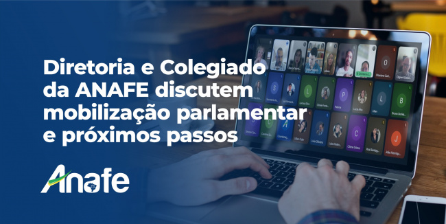Diretoria e colegiado da ANAFE