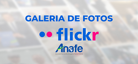 Banner Flickr 462x215 1