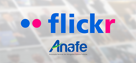 Flickr 462×215px 1