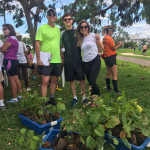 TEMPO DE PLANTAR: ANAFE/DF se une a voluntários para plantar 1 milhão de árvores