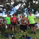 TEMPO DE PLANTAR: ANAFE/DF se une a voluntários para plantar 1 milhão de árvores
